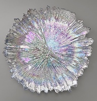 Подстановочная тарелка «coral Perla Silver» 